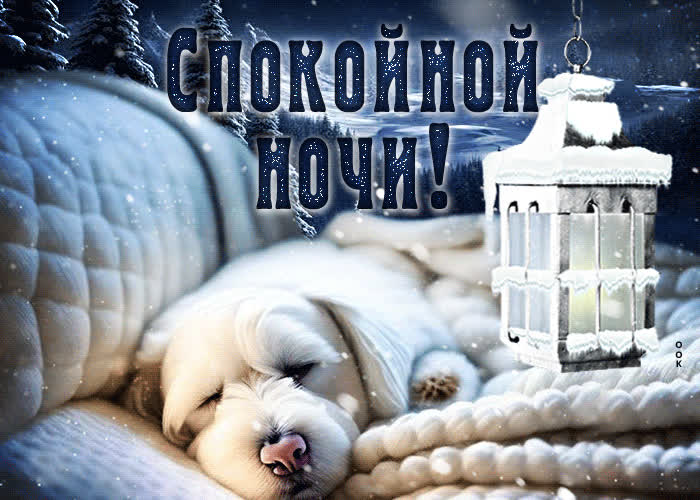 Postcard вдохновенная гиф-открытка с песиком спокойной ночи