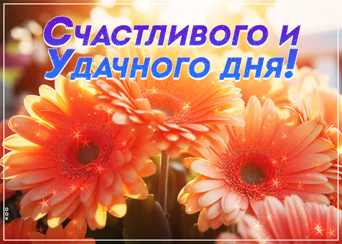 Postcard вдохновенная и светлая открытка счастливого и удачного дня