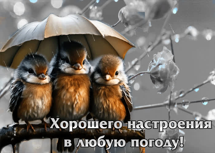 Postcard вдохновляющая гиф-открытка хорошего настроения в любую погоду