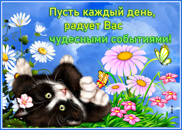 Картинка верь в себя и всё будет