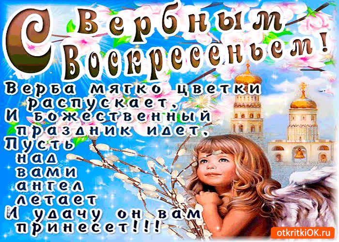 Картинка верба цветки распускает - вербное воскресенье