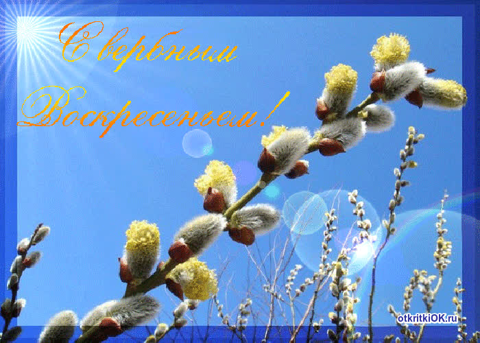 Картинка вербное воскресенье - дата