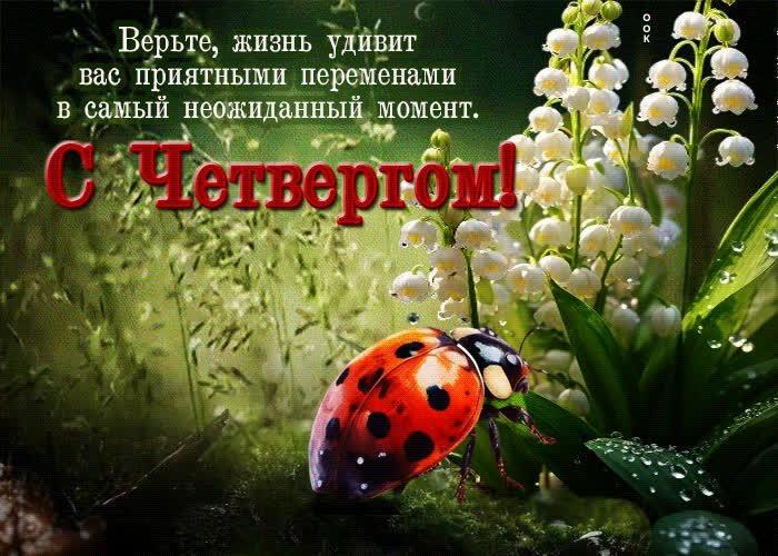 Picture верьте, жизнь удивит вас приятными переменами. с четвергом