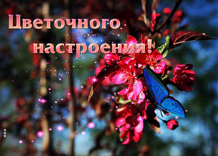 Picture веселая и беззаботная гиф-открытка цветочного настроения