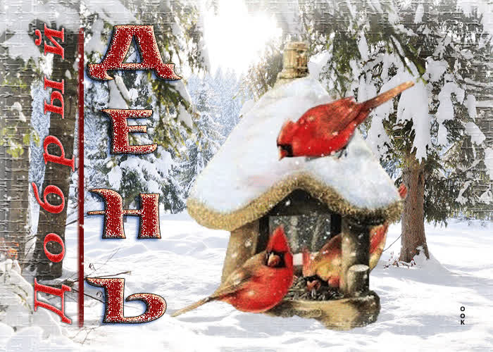 Picture веселая и волшебная анимационная открытка добрый день