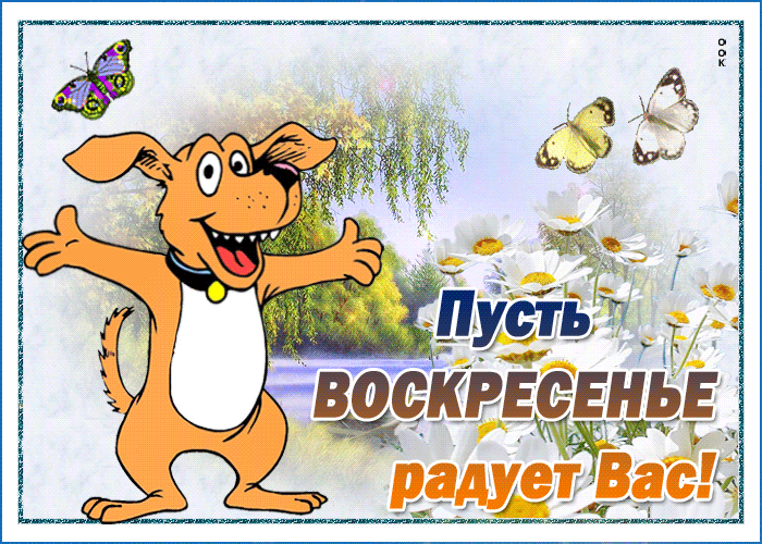 Открытка веселая открытка воскресенье