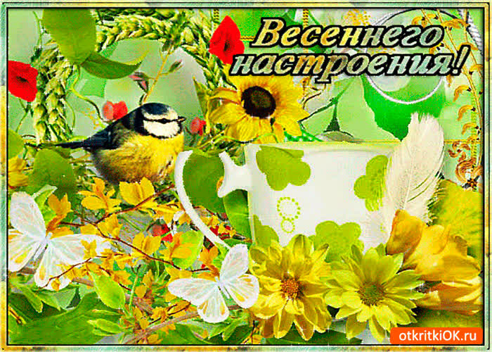 Картинка весеннего настроения друзьям желаю