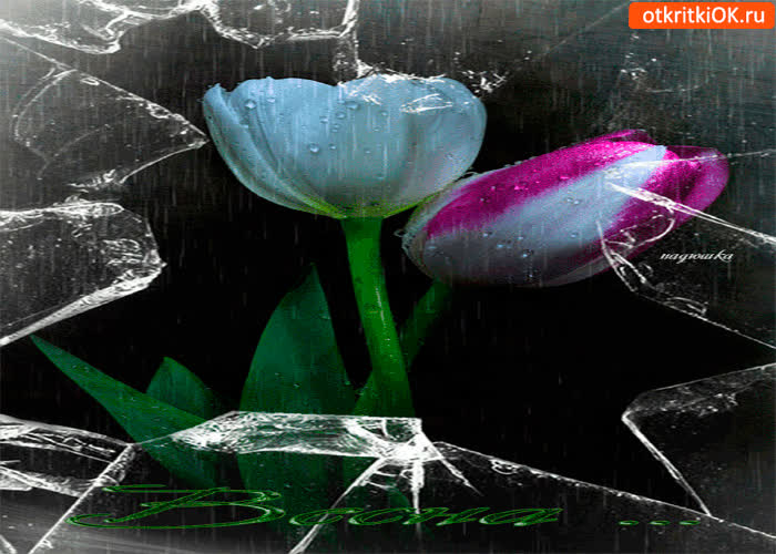 Картинка весенний дождик