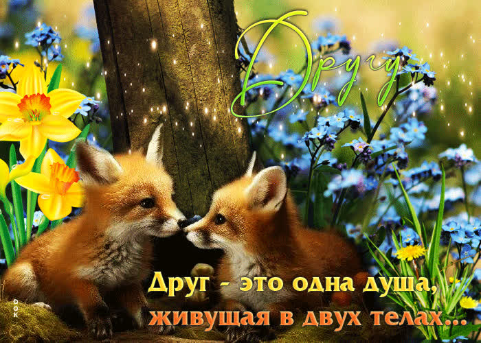 Picture весенняя гиф-открытка друг - это одна душа, живущая в двух телах