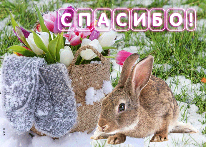 Postcard весенняя и цветущая гиф-открытка с зайкой спасибо