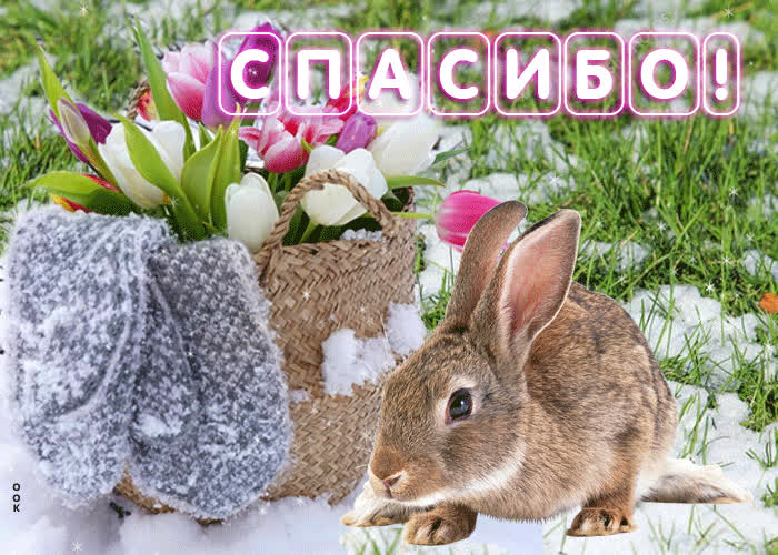 Postcard весенняя и цветущая гиф-открытка с зайкой спасибо
