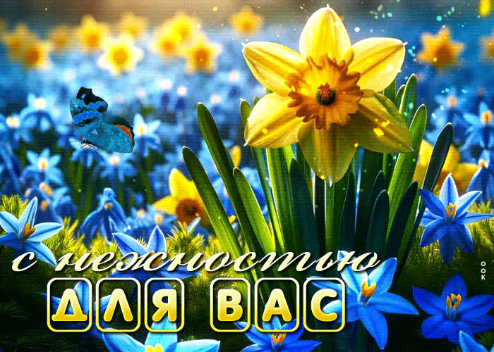 Postcard весенняя и вдохновляющая гиф-открытка с нежностью для вас