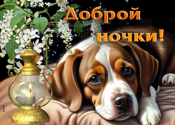 Postcard весенняя искренняя гиф-открытка доброй ночки