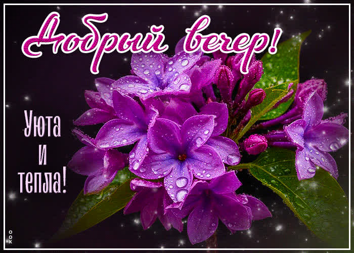 Postcard весенняя открытка добрый вечер! уюта и тепла