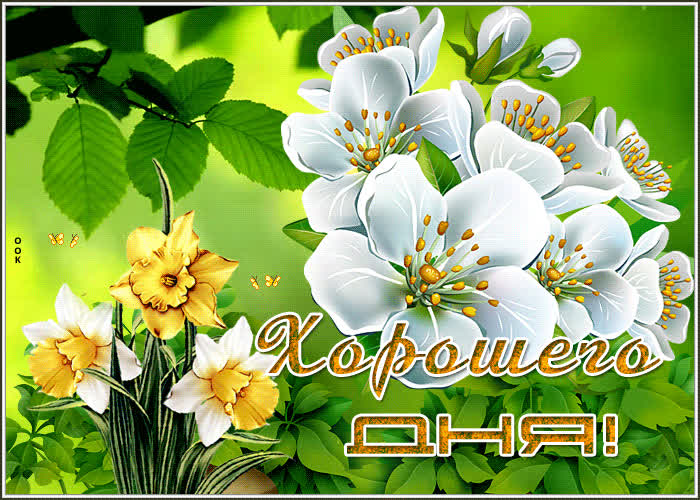 Открытка весенняя открытка хорошего дня