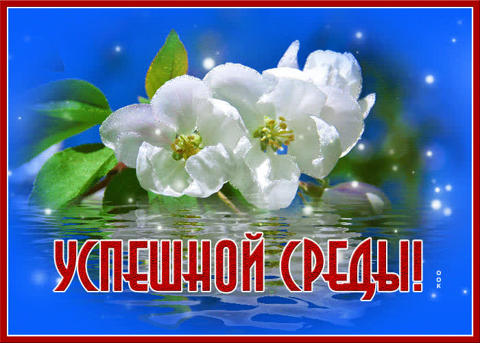 Открытка весенняя открытка со средой