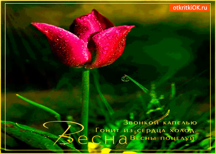 Картинка весна холод гонит