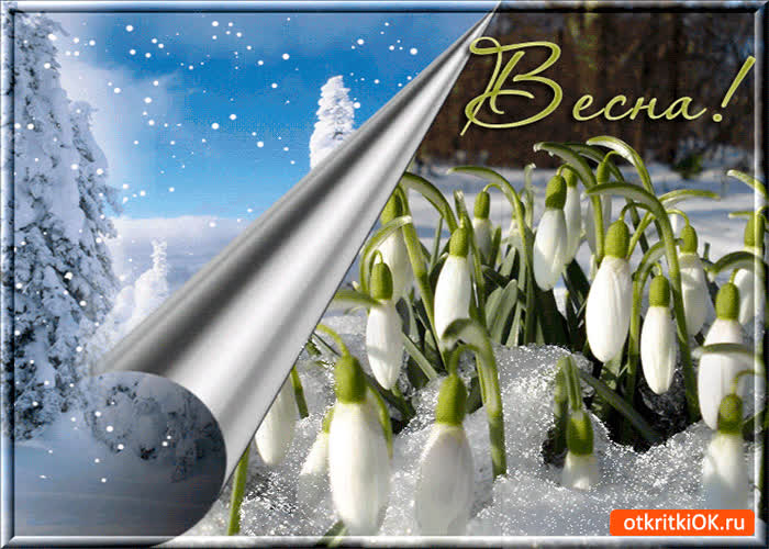 Картинка весна красивая пришла