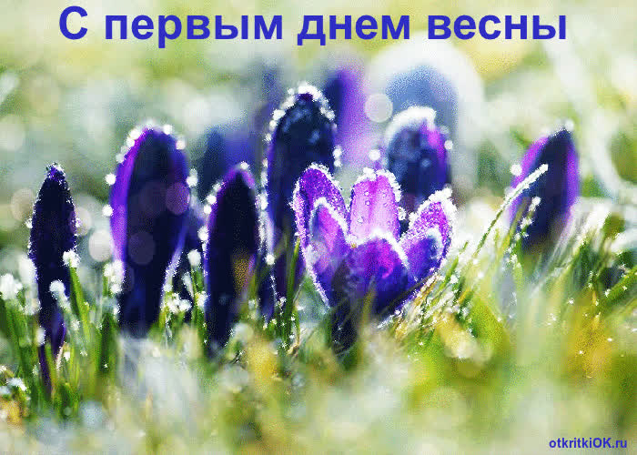 Картинка весна первый день тепла