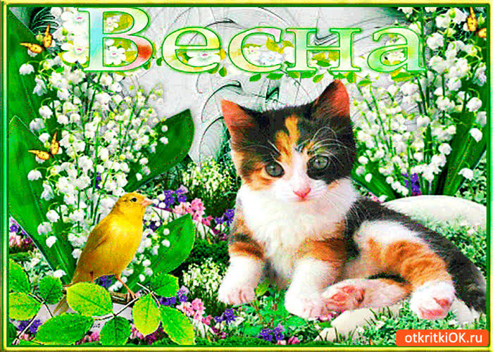 Картинка весна полна чудес