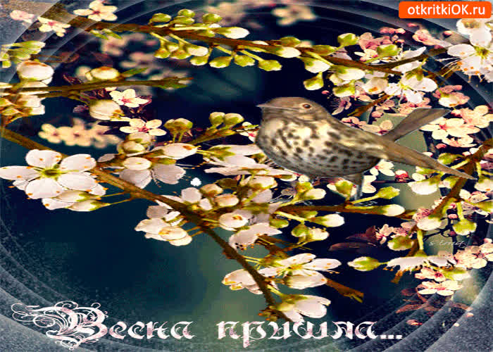 Картинка весна пришла