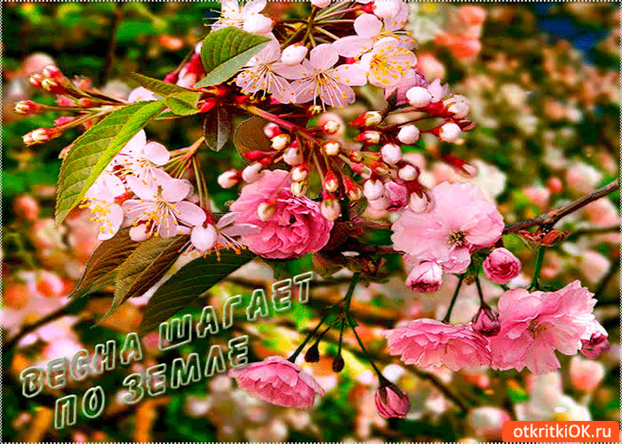 Картинка весна шагает по земле