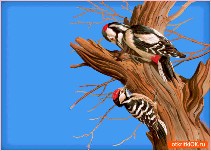 Картинка весна сказочная