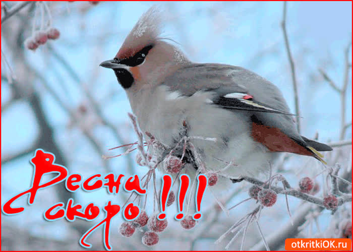 Картинка весна скоро