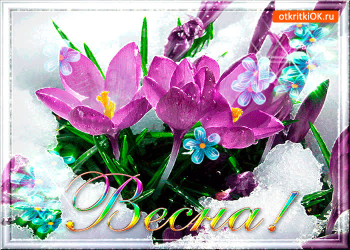 Картинка весна смело к нам пришла