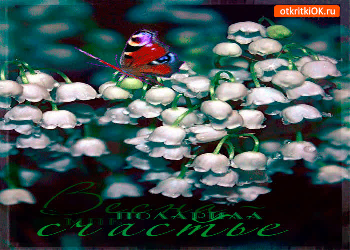 Картинка весна тебе подарит счастья