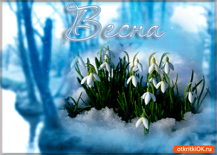 Открытка весна тихо расцветает
