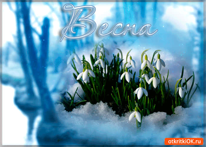 Картинка весна тихо расцветает