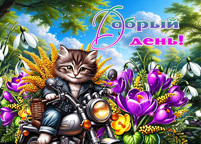 Postcard весёлая, мечтательная весенняя открытка добрый день
