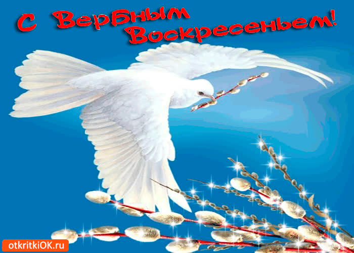 Картинка веточку вербы на счастье дарю