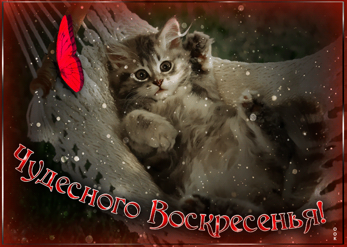 Картинка видео открытка с воскресеньем