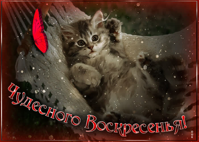 Картинка видео открытка с воскресеньем