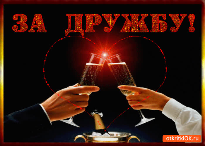 Картинка выпьем за дружбу