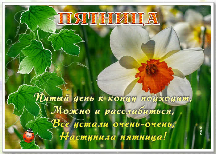 Картинка виртуальная открытка наступила пятница!