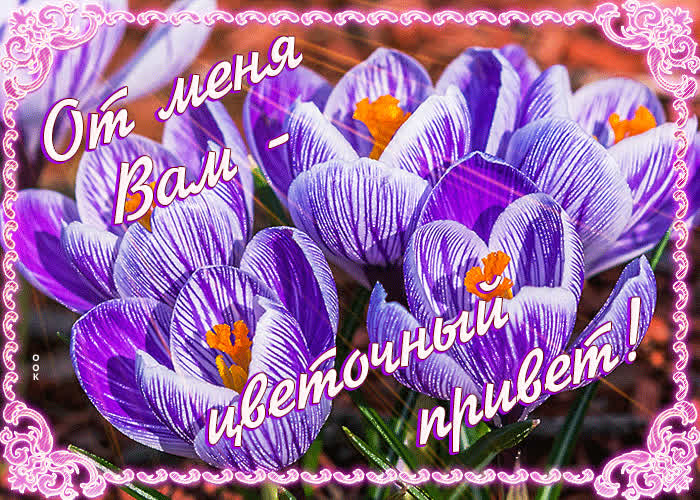 Picture виртуальная открытка от меня вам - цветочный привет!