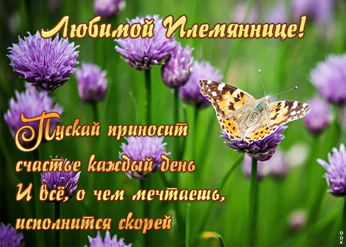 Открытка виртуальная открытка племяннице