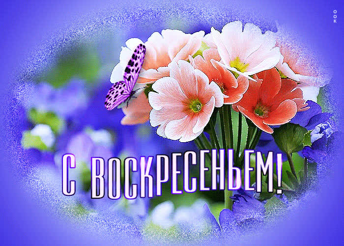 Картинка виртуальная открытка с воскресеньем