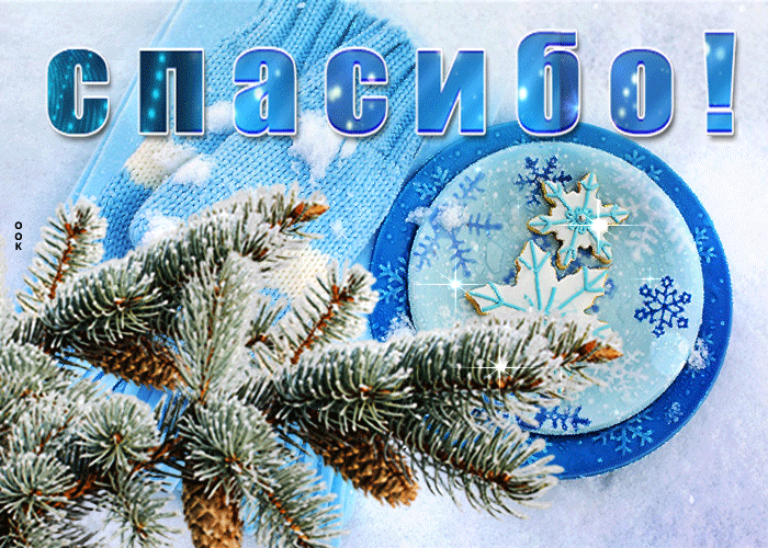 Открытка виртуальная открытка спасибо с веткой ели