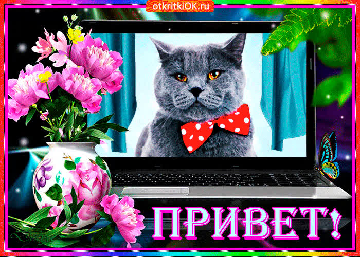 Картинка виртуальный приветик