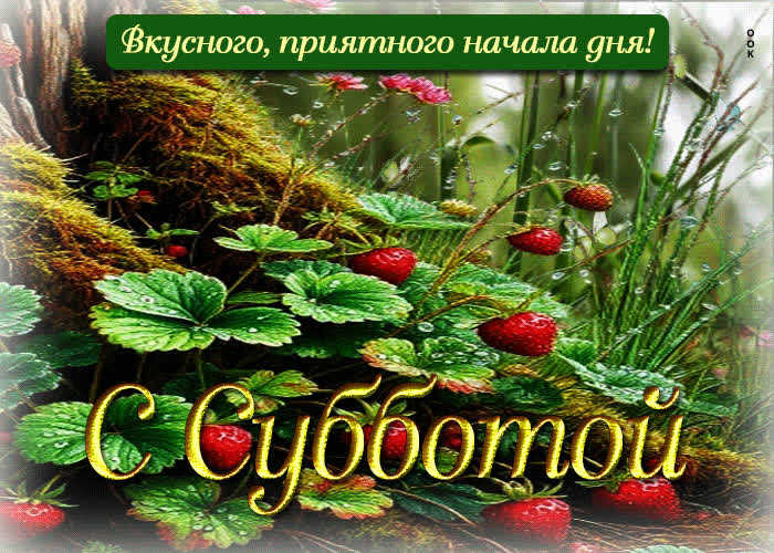 Postcard вкусного, приятного начала дня! с субботой