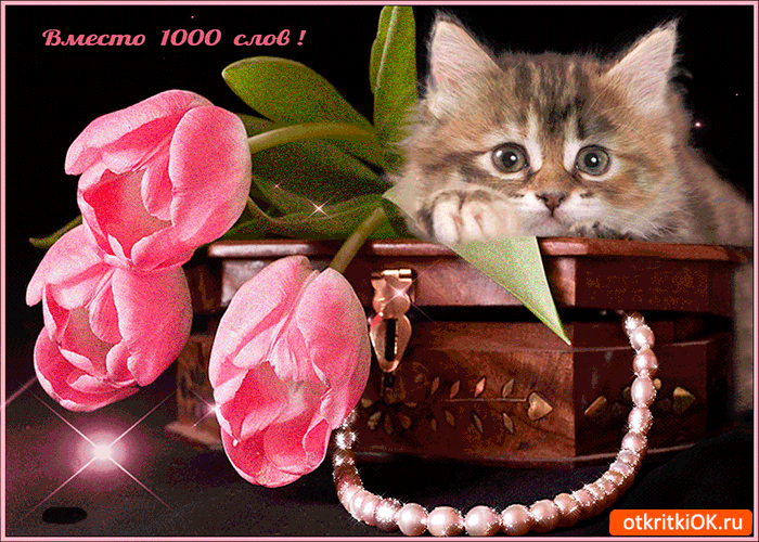 Открытка вместо 1000 слов тюльпаны дарю
