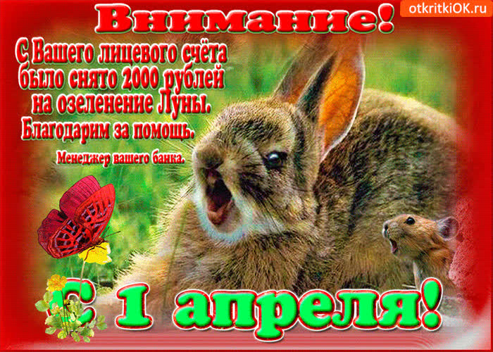 Картинка внимание, поздравление для вас с 1 апреля