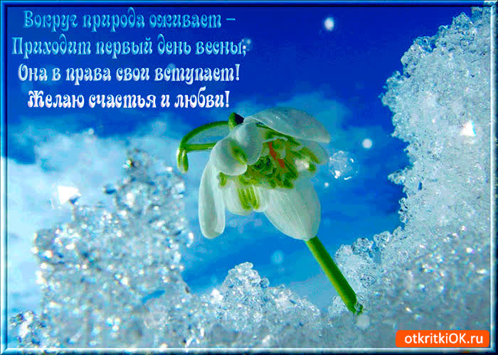 Картинка вокруг природа оживает