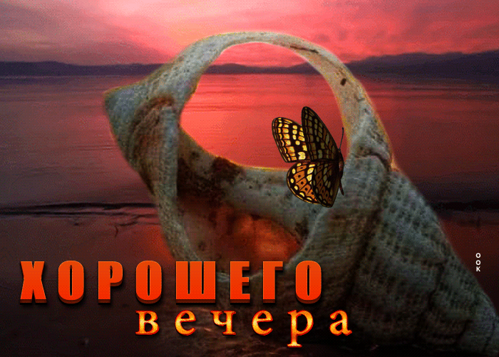 Picture волнующая и трогательная открытка с ракушкой хорошего вечера