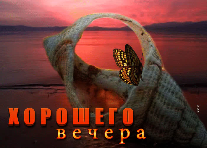 Picture волнующая и трогательная открытка с ракушкой хорошего вечера
