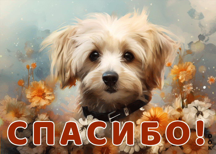 Picture волшебная и фантастическая открытка с песиком спасибо